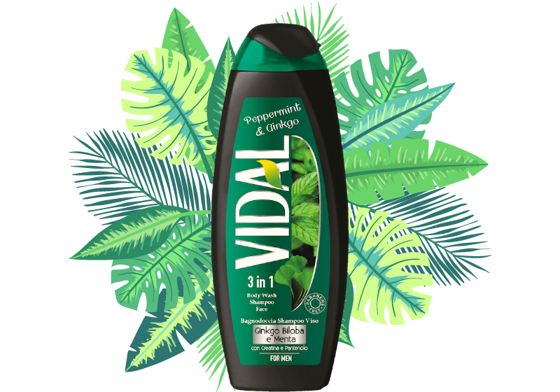 shower gel vidal mint&ginkgo  ml.250
